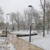 parc balcescu zapada