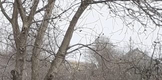 FOTO Ploaie cu gheață la Panciu