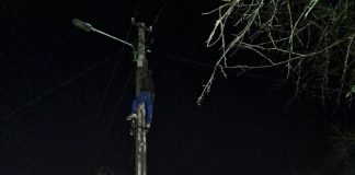 Un bărbat care s-a urcat pe un stâlp de tensiune și amenința că se aruncă de acolo, convins să coboare de un negociator al poliției