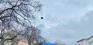 Polițiștii vrânceni au făcut fericit un copil care vrea să devină polițist
