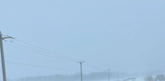 ULTIMA ORĂ Un șofer și-a abandonat mașina pe drumul spre Suraia și a blocat circulația
