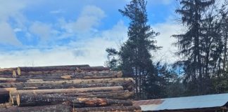 Depozitele de lemne, luate la puricat de polițiști. Zeci de amenzi