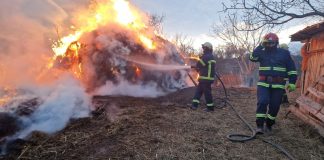 Căpițe de fân, mistuite de foc la Dumitrești