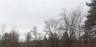 O șoferiță a ieșit cu mașina în decor. Ea a fost dusă la spital