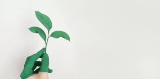 Tranziția de la aurul negru la energia verde, la Energy Forum, pe 14 martie