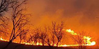 Peste 650 ha de vegetație uscată arse într-o singură zi, în Vrancea