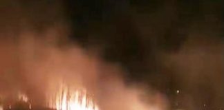 VIDEO Incendiu de vegetație la Pufești / Bate vântul și este pericol de extindere