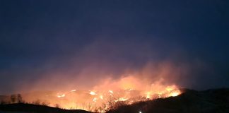VIDEO-FOTO Peste 40 ha de vegetație uscată cuprinse de flăcări pe raza comunelor Dumitrești și Gura Caliței