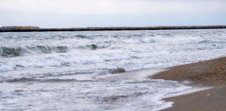 Pentru vrâncenii aflați pe litoral, la Corbu și Vadu: apa de mare din zonă e plină de E.Coli