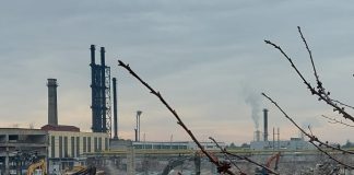 VIDEO Se lucrează intens la curățarea unei suprafețe de teren din zona Mopaf. În zonă se va amenaja un complex rezidențial
