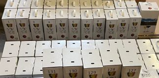 Ce vinuri din Vrancea au fost premiate la Concursul Național Vin Bag-in-box 2024