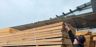 Controale ale Gărzii Forestiere Focșani în Tulcea: confiscări de 110 mc de materiale lemnoase