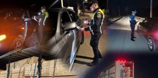 FOTO Lemne confiscate și amenzi în urma controalelor în sectorul silvic, desfășurate săptămâna trecută