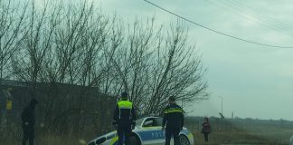 FOTO Ciocnire între o mașină de poliție și un autoturism pe E85