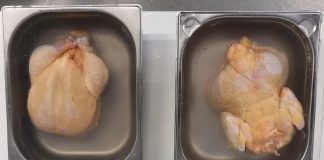 Avertismentul președintelui ANPC: ”atentat serios la siguranța fiecăruia dintre noi – pui îngălbeniți pentru a părea mai buni, împănați cu tulpini de salmonela periculoase”