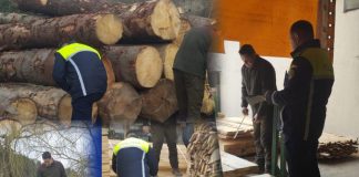 IPJ Vrancea: controale, amenzi și confiscări în sectorul silvic