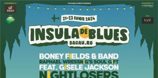 Ce artiști vor cânta la Festivalul ”Insula de Blues”