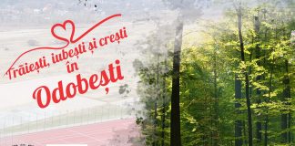 Acțiune de plantare de arbori la Odobești. Invitați, foști și actuali sportivi de performanță ai județului