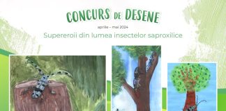 Concurs de desene, organizat de Agenția pentru Protecția Mediului