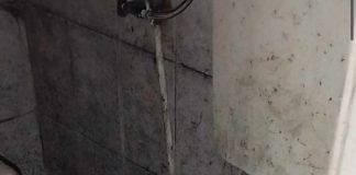 VIDEO Focar de infecție într-un apartament al Primăriei Focșani – vecini exasperați de 6 ani