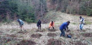 Garda Forestieră Focșani: amenzi de peste 450.000 lei, confiscări de material lemnos, acțiuni de împădurire și regenerare, avize pentru proiecte PNRR în primul trimestru al anului