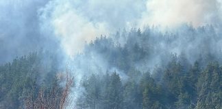 ULTIMA ORĂ Mobilizare a pompierilor, silvicultorilor și localnicilor, la Țifești, pentru stingerea unui incendiu de vegetație