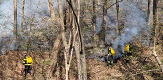Incendiul de pădure de la Tg. Ocna nu a fost stins / Mobilizarea a pompierilor din Bacău, Neamț și Vrancea pentru stingerea focului