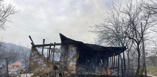 VIDEO Câteva zeci de hectare de vegetație, arse la Dumitrești. Și o casă nelocuită a luat foc
