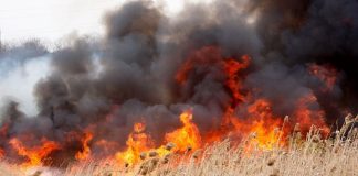 Avertisment din partea Gărzii de Mediu: ”Nu dați foc la miriști! Amenzile sunt usturătoare!”