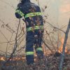 incendiu padure 1