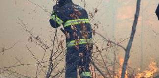 ULTIMA ORĂ Incendiu de pădure în comuna Poiana Cristei