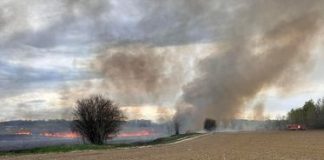 APIA, apel către fermieri: este interzisă arderea miriștilor și a vegetației / Încălcarea interdicției duce la pierderea subvenției