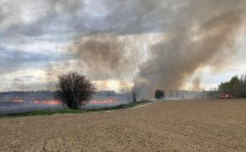 APIA, apel către fermieri: este interzisă arderea miriștilor și a vegetației / Încălcarea interdicției duce la pierderea subvenției