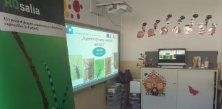 APM: ore deschise cu elevii din zona montană despre conservarea insectelor saproxilice