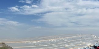 FOTO Bărbatul lovit de solarul doborât de vânt, în stare gravă la spital