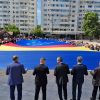 steag candidati pnl
