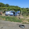 accident (2)