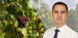 Dragoș Ciobotaru, candidatul PNL pentru funcția de președinte al Consiliului Județean Vrancea: ”Viticultura reprezintă identitatea noastră. Viticultura în Vrancea are viitor”
