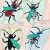 desen insecte 2
