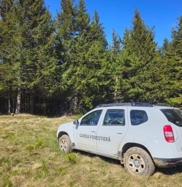 Garda Forestieră Focșani: Amenzi, confiscări de lemne și avize de împădurire în octombrie