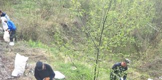 FOTO Pădurea nu este groapă de gunoi! / 800 kg deșeuri strânse din pădurile Ocolului Silvic Dumitrești