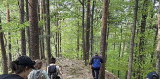 Turiștii au dat nas în nas cu 4 urși, în pădurea din Slănic Moldova