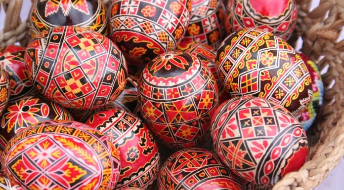 VIDEO Președintele Consiliului Județean Vrancea, Nicușor Halici: ”Sărbători Fericite!”