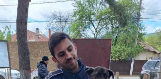 Amenzi de peste 22.000 de lei pentru gestionarea deficitară a câinilor fără stăpân din cadrul mai multor U.A.T.-uri