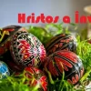 poza pasti