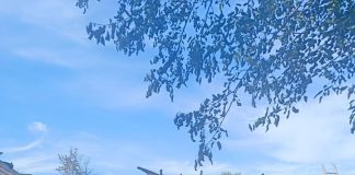 Familia unui oier din Răcoasa a rămas fără acoperiș deasupra casei, în urma unui incendiu. Comunitatea s-a mobilizat pentru ajutor