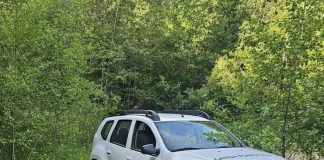 Garda Forestieră Focșani: amenzi, confiscări și denunțuri penale în urma controalelor din luna mai