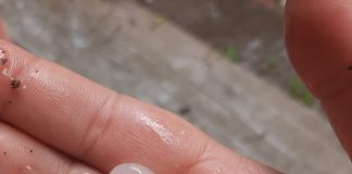Panciu sub ape după o ploaie torențială. În zonă a căzut și grindina