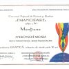 mentiune pictura 1