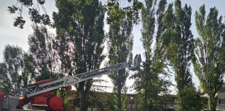 FOTO Vântul a rupt crengi, pe Bulevardul București din Focșani
